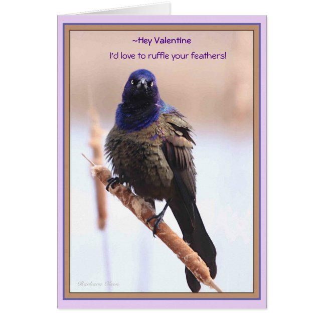 Valentine: I'd love to ruffle your feathers (Front)