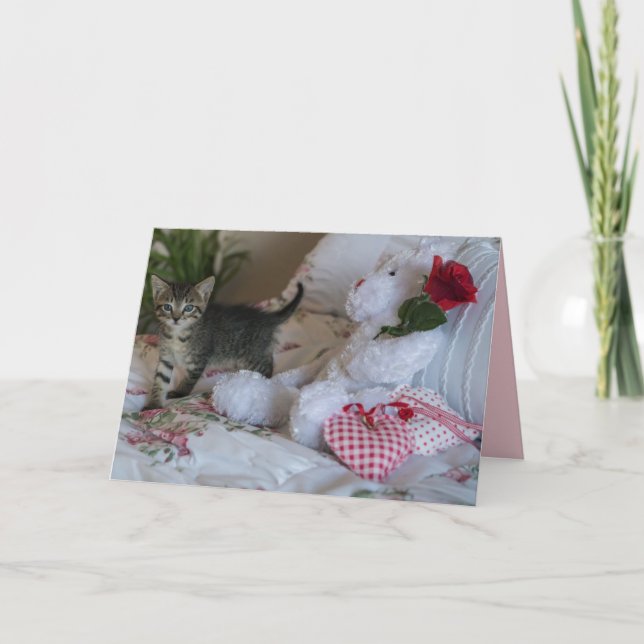 valentine kitten greeting card (Front)