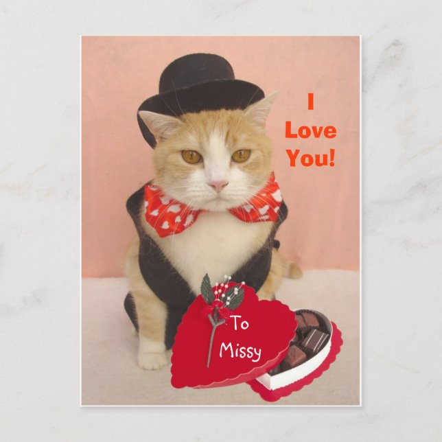 Valentine Kitty Holiday Postcard (Front)