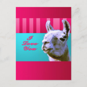 Valentine llama I love you be mine pink red, turqu Holiday Postcard