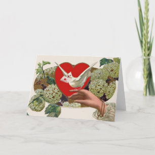 Valentine Message With Dove Holiday Card