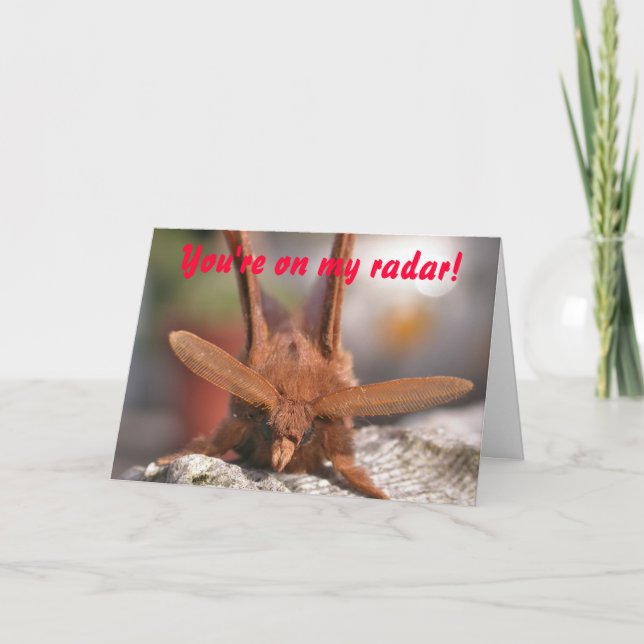 Valentine Moth Antennae: You're on my radar! Holiday Card (Front)