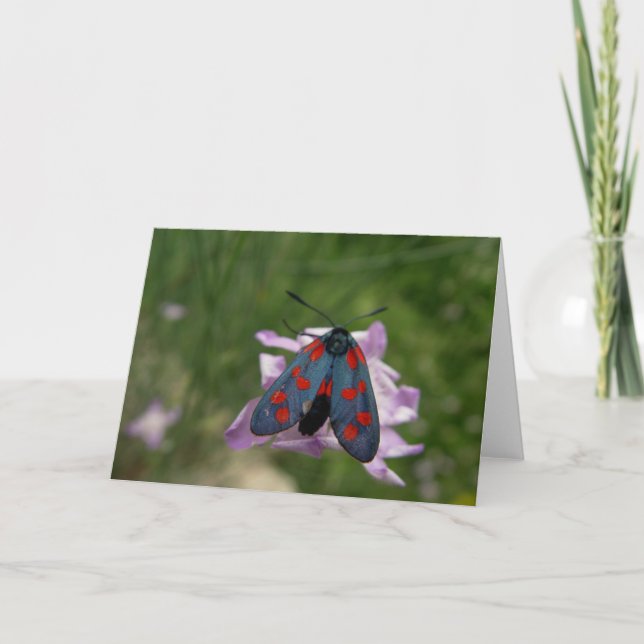 Valentine moth holiday card (Front)