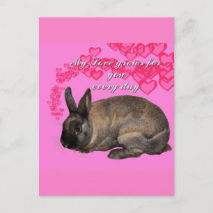 Valentine, my love grows for you daily bunny rabbi holiday postcard