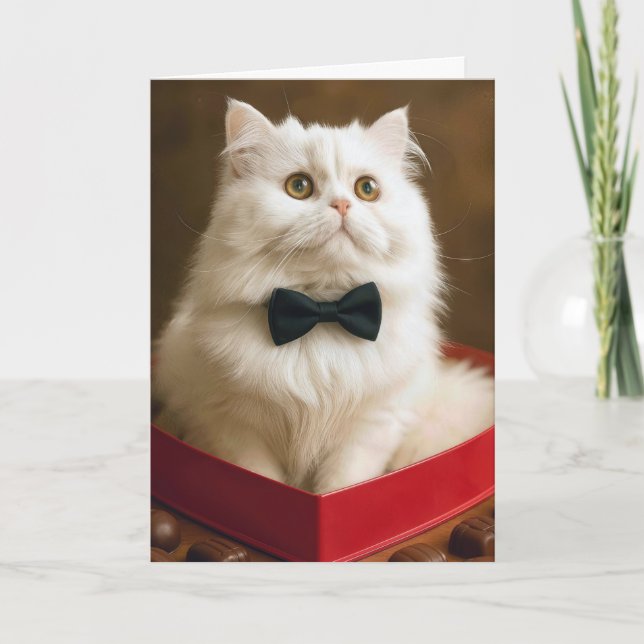 Valentine Persian Cat In Candy Box Card (Front)
