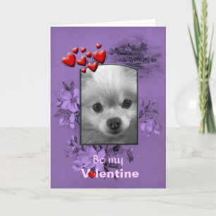 Valentine Pomeranian with Big Cute Eyes Holiday Card