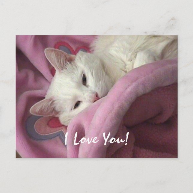 Valentine Post Card - Customised (Front)