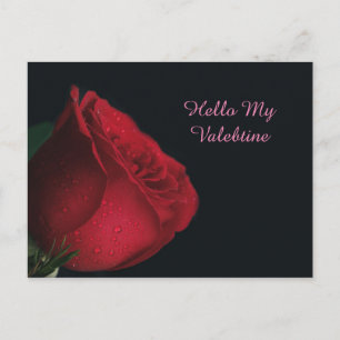 Valentine Postcard