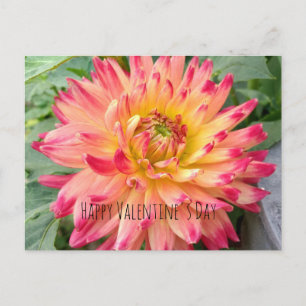 Valentine postcard with pink and yellow dahlia