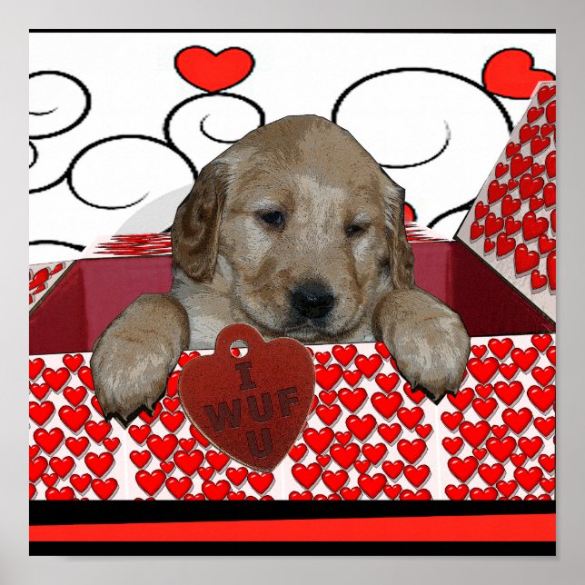 VALENTINE PUPPY - I WUF YOU! (I LOVE YOU) POSTER (Front)