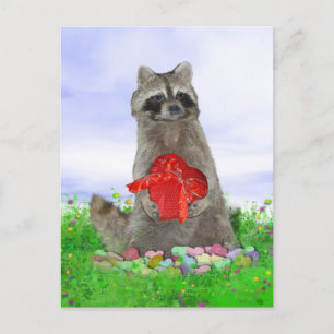 Valentine Racoon Bandit Holiday Postcard