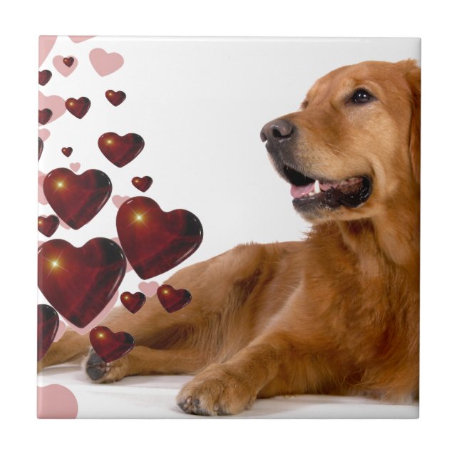 Valentine Red Hearts Golden Retriever Dog Tile (Front)