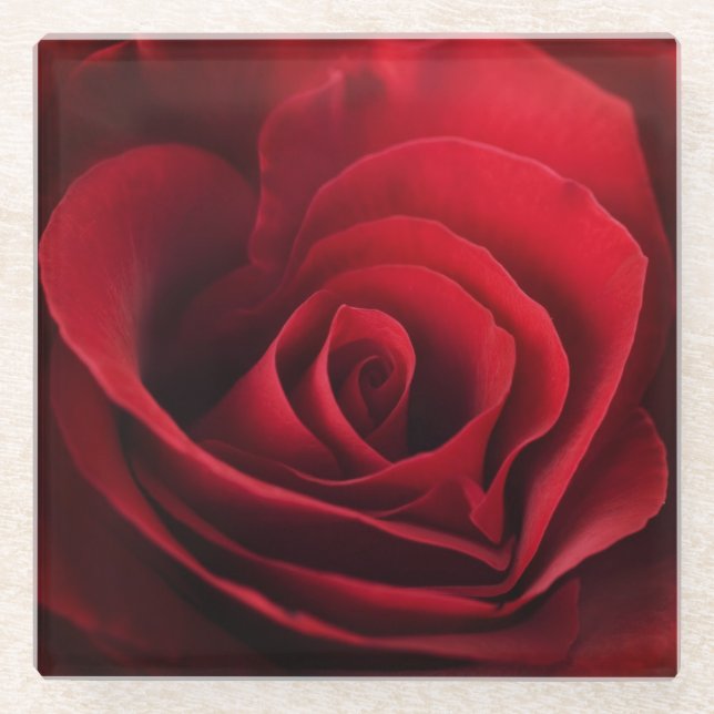 Valentine Red Rose Glass Coaster (Front)