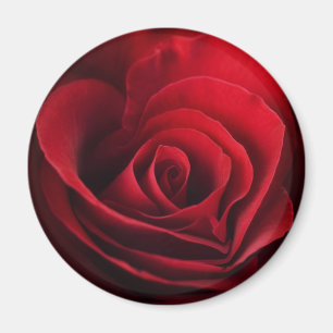Valentine Red Rose Magnet