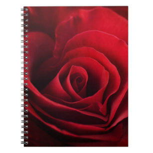 Valentine Red Rose Spiral Notebook