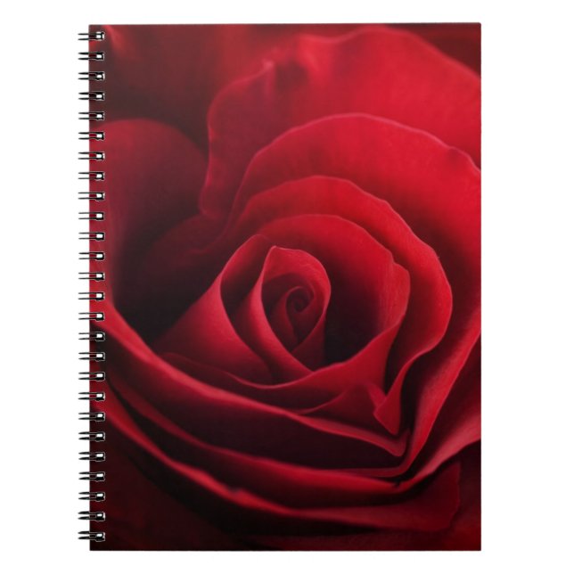 Valentine Red Rose Spiral Notebook (Front)