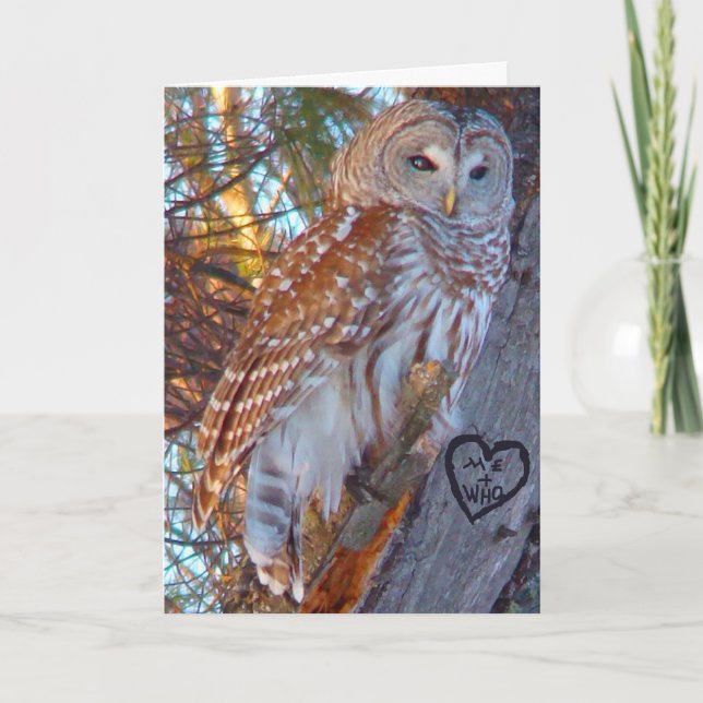 Valentine, Romance,Funny, Humour Owl --ME + WHO Holiday Card (Front)