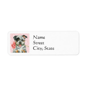 Valentine Rose ACD