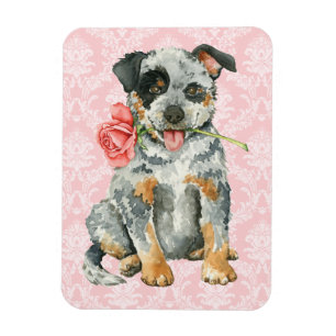 Valentine Rose ACD Magnet
