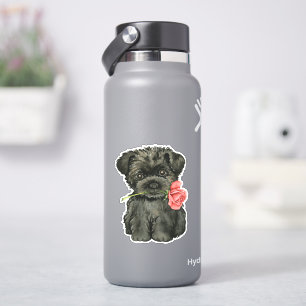 Valentine Rose Affenpinscher Vinyl
