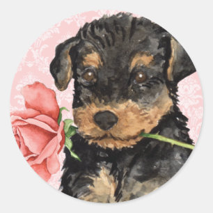 Valentine Rose Airedale Classic Round Sticker