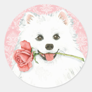 Valentine Rose American Eskimo Dog Classic Round Sticker