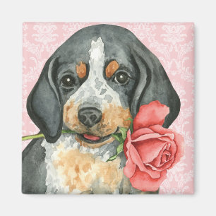 Valentine Rose Bluetick Magnet