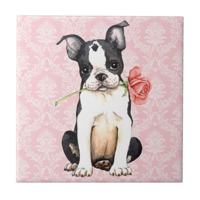 Valentine Rose Boston Terrier Tile (Front)