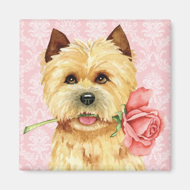 Valentine Rose Cairn Terrier Magnet (Front)