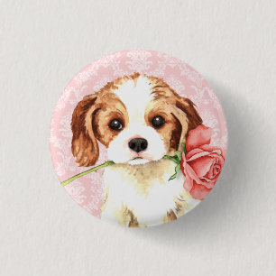 Valentine Rose Cavalier 3 Cm Round Badge
