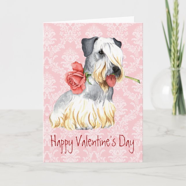 Valentine Rose Cesky Terrier Holiday Card (Front)