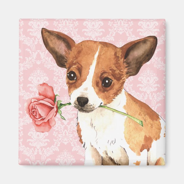 Valentine Rose Chihuahua Magnet (Front)