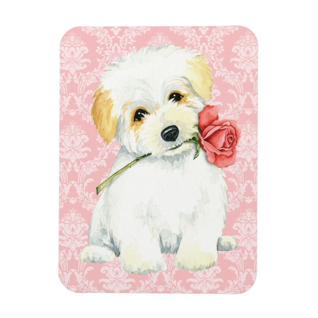 Valentine Rose Coton de Tulear Magnet (Vertical)