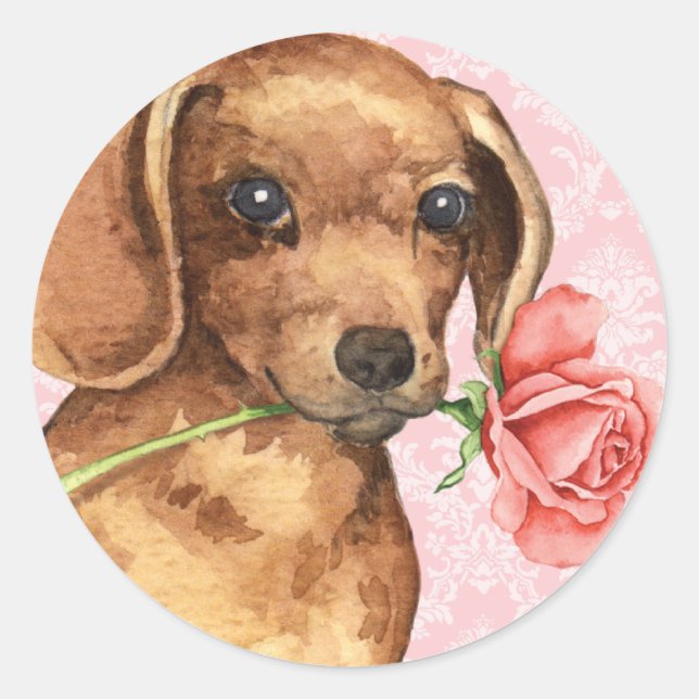 Valentine Rose Dachshund Classic Round Sticker (Front)