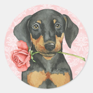 Valentine Rose Doberman Classic Round Sticker