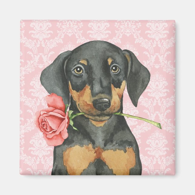 Valentine Rose Doberman Magnet (Front)