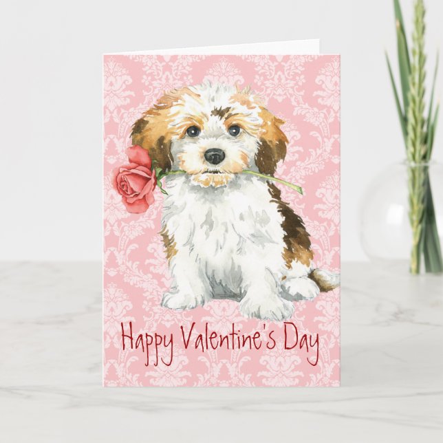Valentine Rose Havanese Holiday Card (Front)