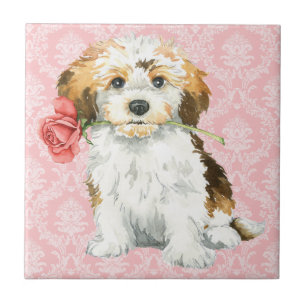 Valentine Rose Havanese Tile