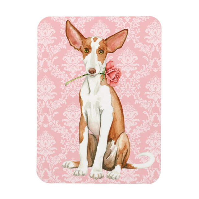 Valentine Rose Ibizan Hound Magnet (Vertical)