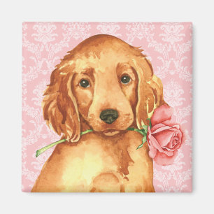 Valentine Rose Irish Setter Magnet