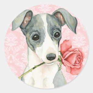 Valentine Rose Italian Greyhound Classic Round Sticker