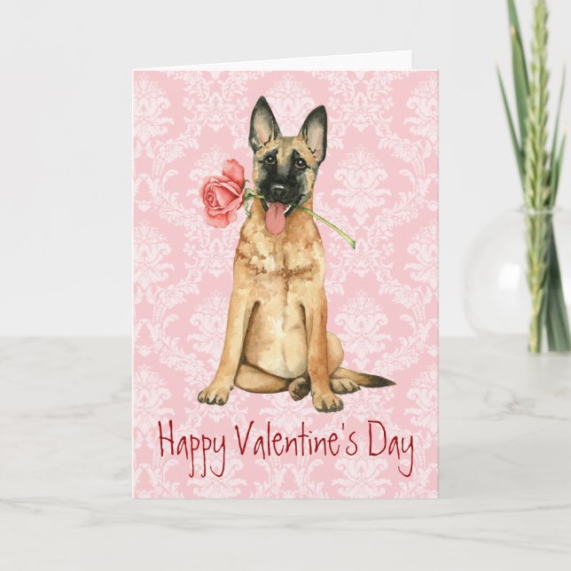 Valentine Rose Malinois Holiday Card (Front)