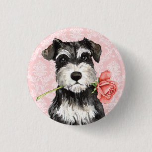Valentine Rose Mini Schnauzer 3 Cm Round Badge