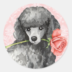 Valentine Rose Miniature Poodle Classic Round Sticker