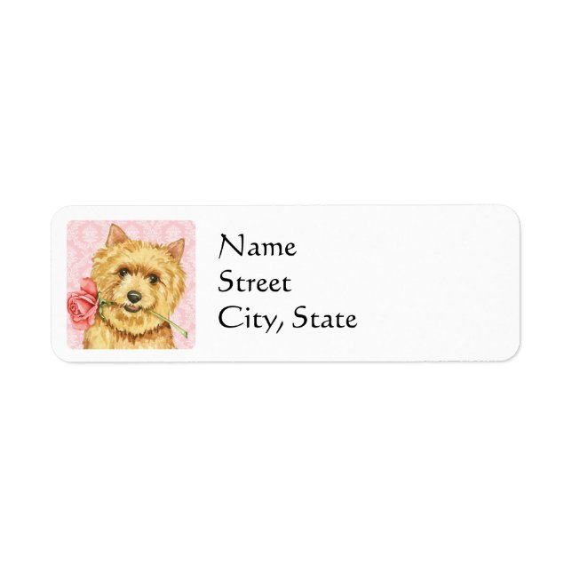 Valentine Rose Norwich Terrier (Front)