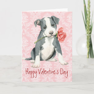 Valentine Rose Pit Bull Holiday Card