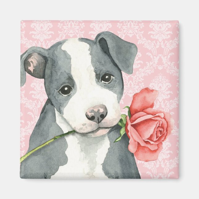 Valentine Rose Pit Bull Magnet (Front)