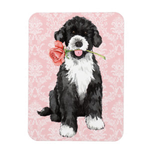 Valentine Rose PWD Magnet