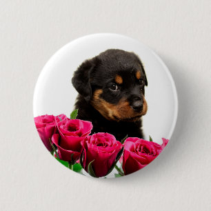 Valentine Rose Rottweiler Puppy 6 Cm Round Badge