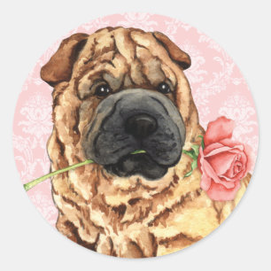 Valentine Rose Shar-Pei Classic Round Sticker
